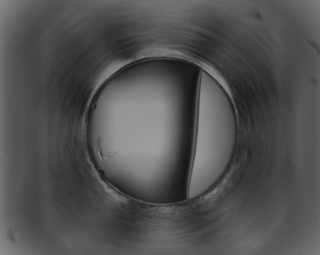 X0000096661053200802050952