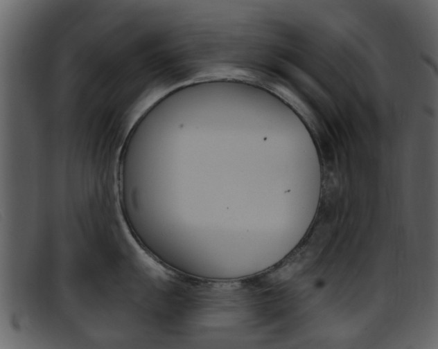 X0000096661055200802050952