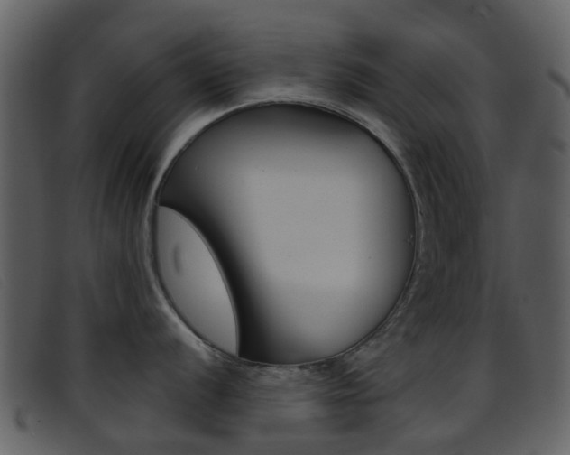 X0000096661056200802050952