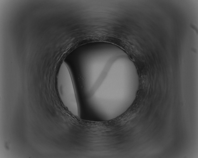 X0000096661057200802050951