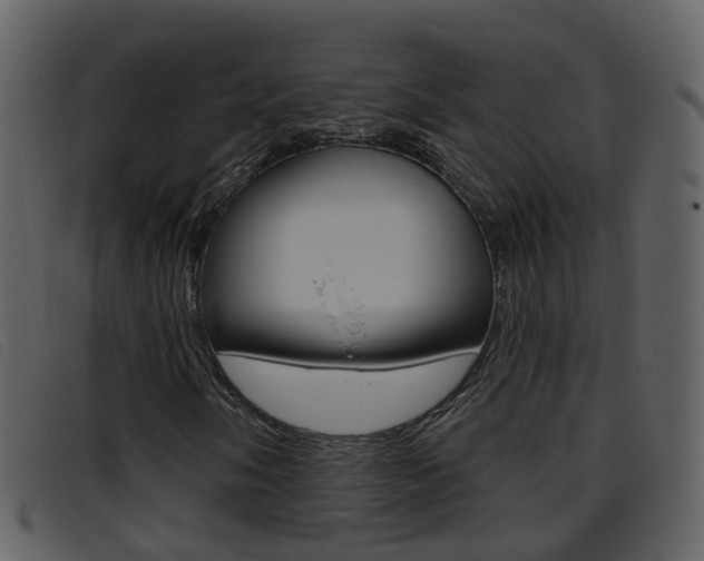 X0000096661058200802050951
