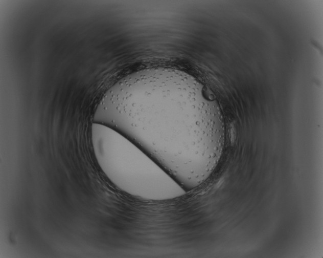 X0000096661059200802050951