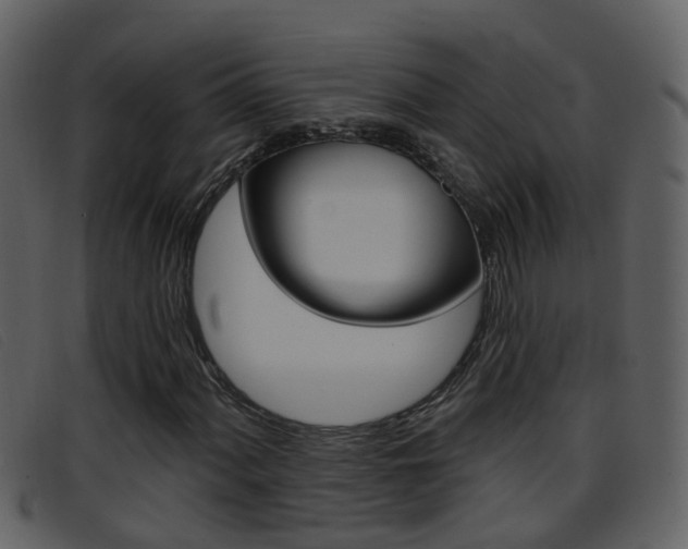 X0000096661060200802050951