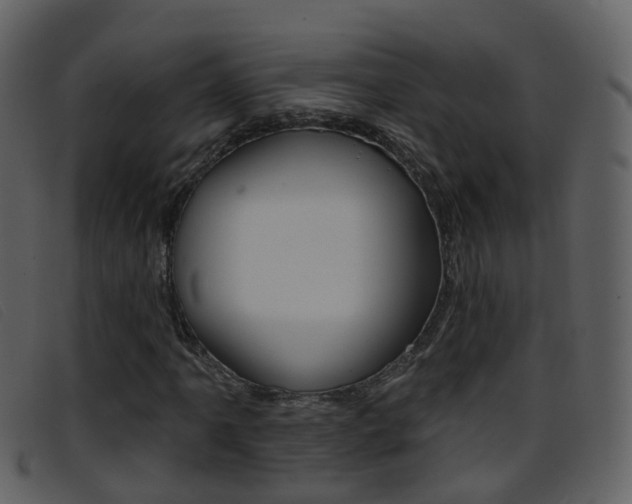 X0000096661061200802050951