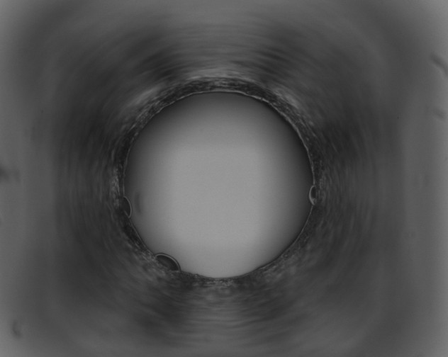 X0000096661062200802050951