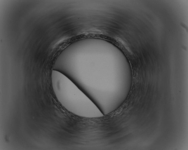 X0000096661063200802050951