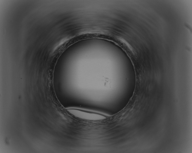 X0000096661064200802050951