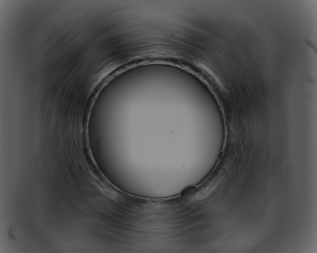 X0000096661065200802050951