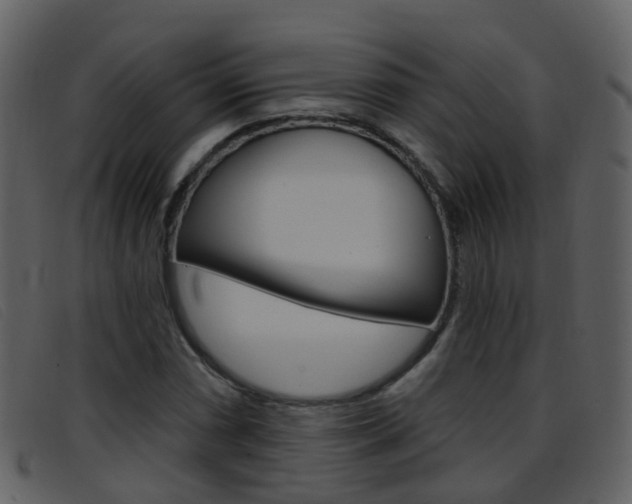 X0000096661066200802050951