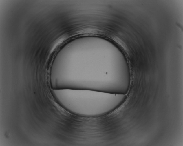 X0000096661067200802050951