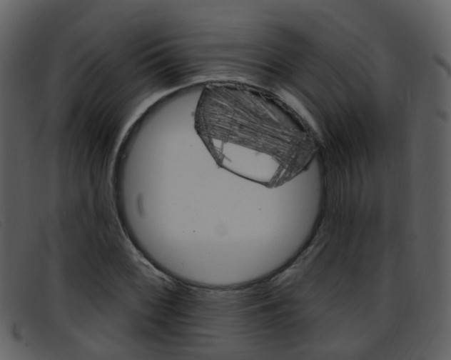 X0000096661068200802050951