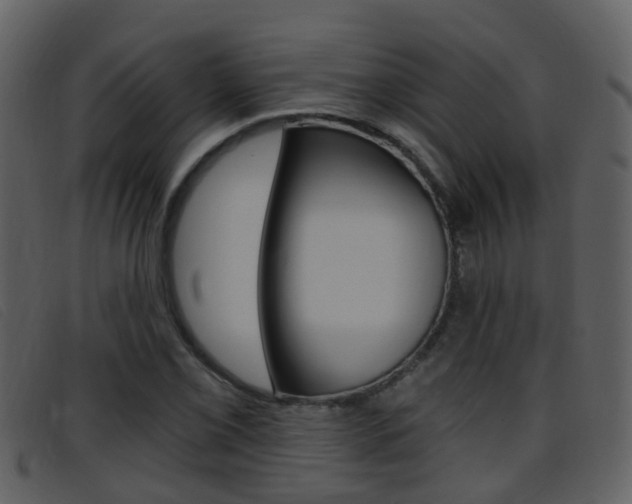 X0000096661069200802050951