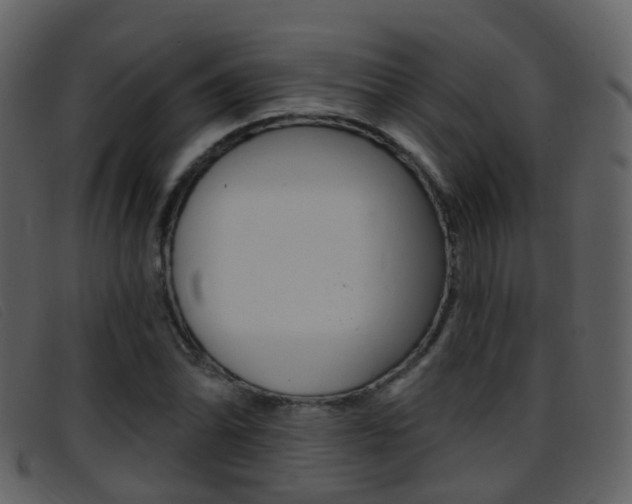 X0000096661070200802050951
