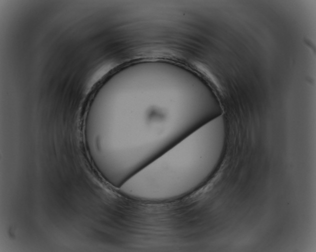 X0000096661071200802050951
