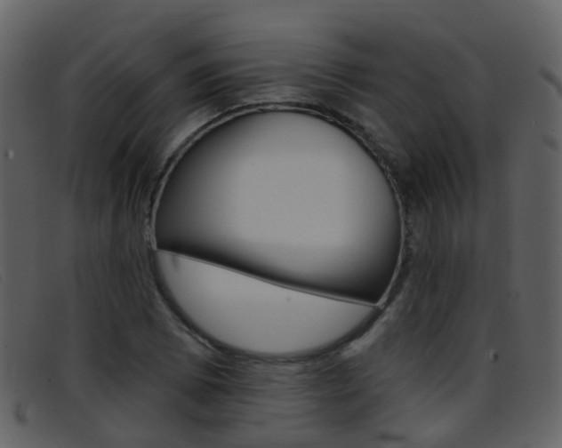 X0000096661073200802050951