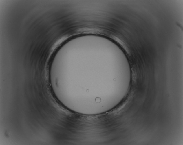 X0000096661074200802050951