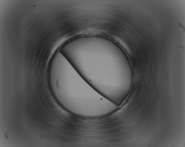 X0000096661075200802050951