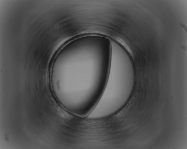 X0000096661076200802050951