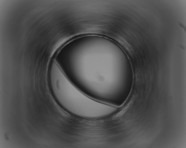 X0000096661077200802050951