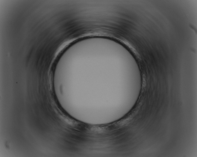 X0000096661078200802050951
