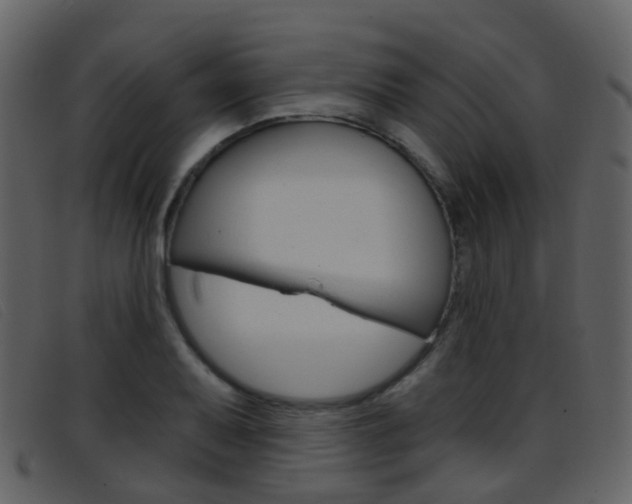 X0000096661079200802050951