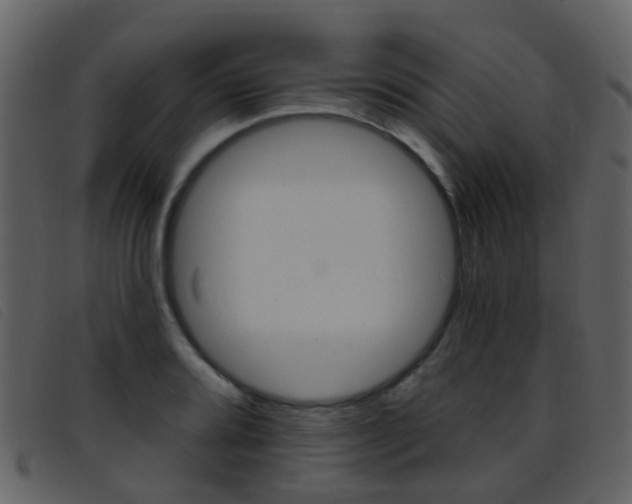 X0000096661080200802050951