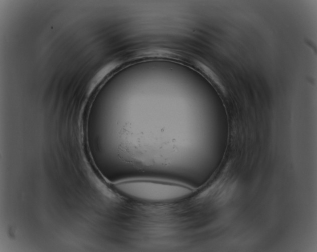X0000096661082200802050951