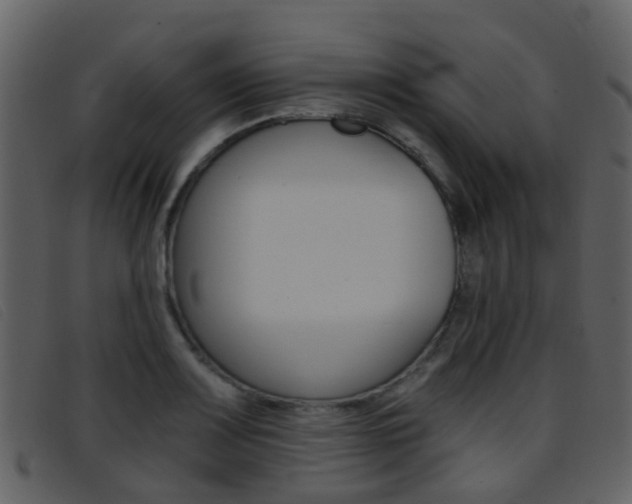 X0000096661083200802050951
