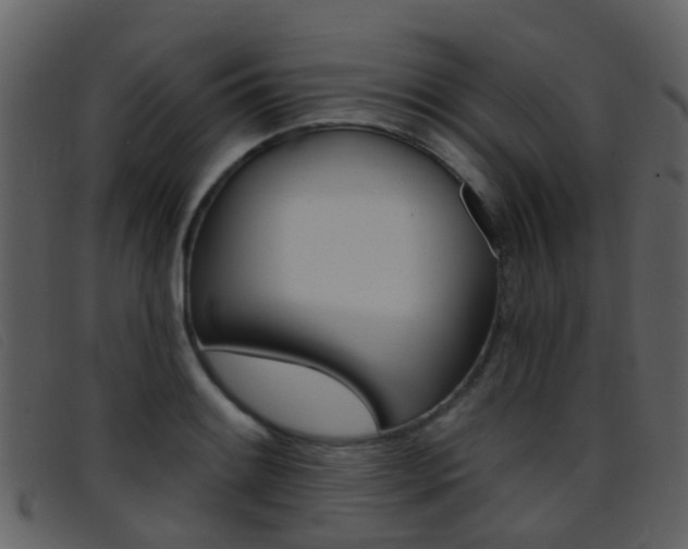 X0000096661084200802050951