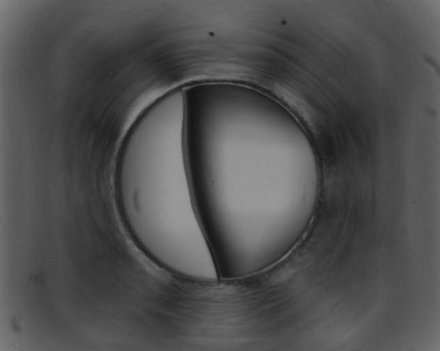 X0000096661085200802050951