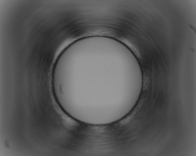X0000096661086200802050951