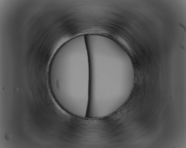 X0000096661087200802050951
