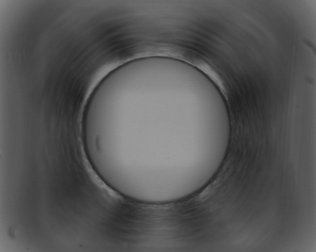 X0000096661088200802050951