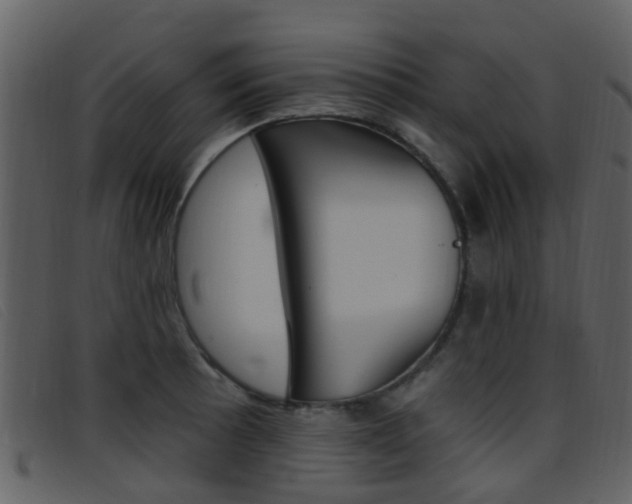 X0000096661089200802050951