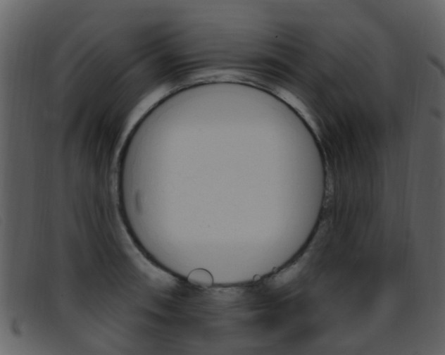 X0000096661090200802050951