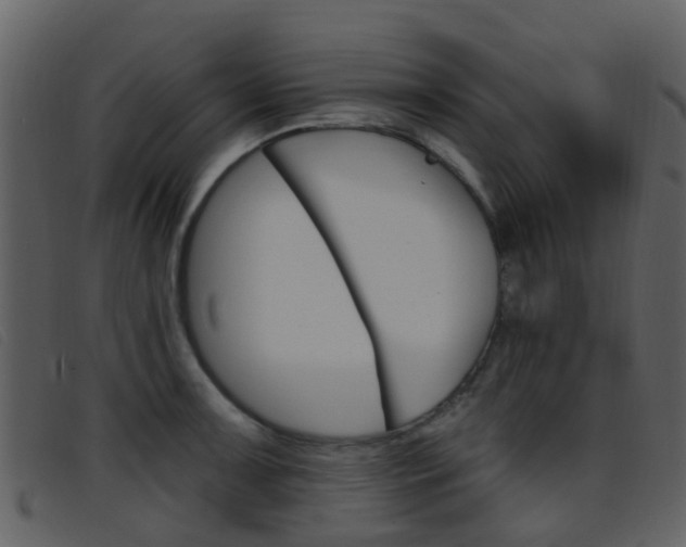 X0000096661091200802050951