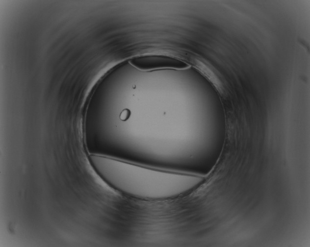 X0000096661092200802050951