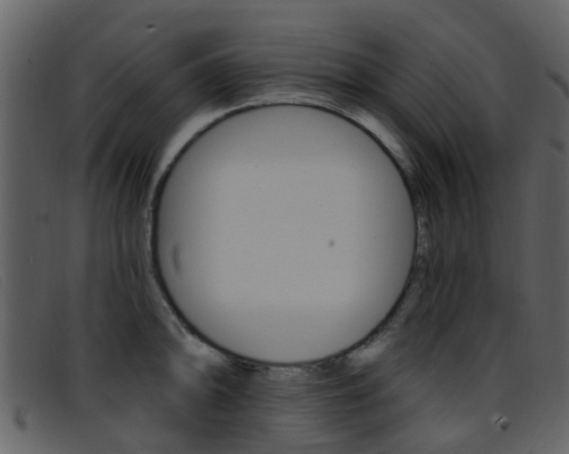 X0000096661094200802050951