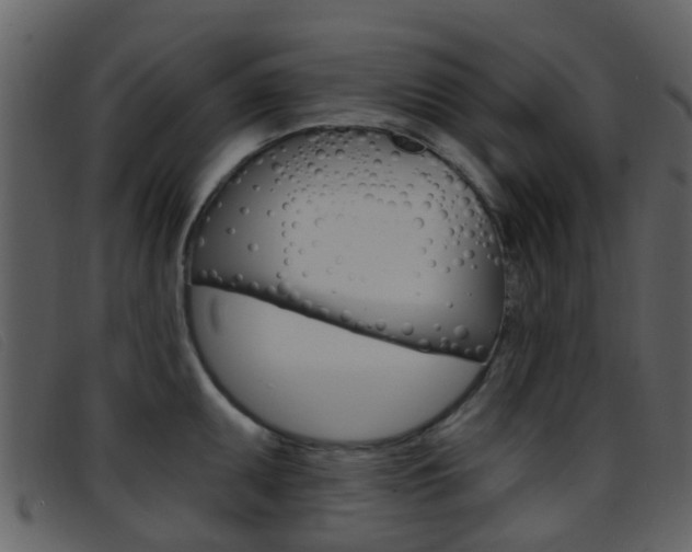 X0000096661095200802050951