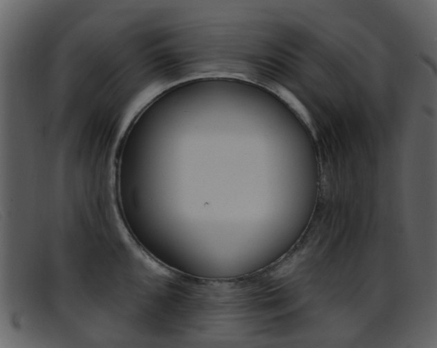 X0000096661096200802050951
