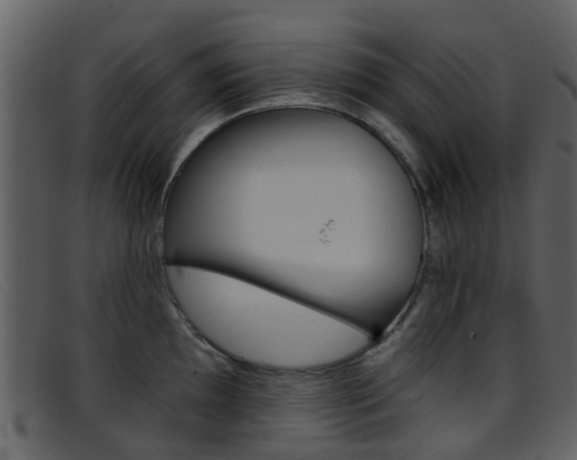 X0000096661097200802050951