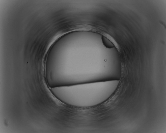 X0000096661099200802050951