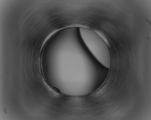 X0000096661100200802050951