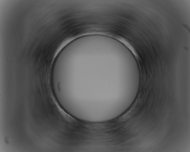 X0000096661101200802050951