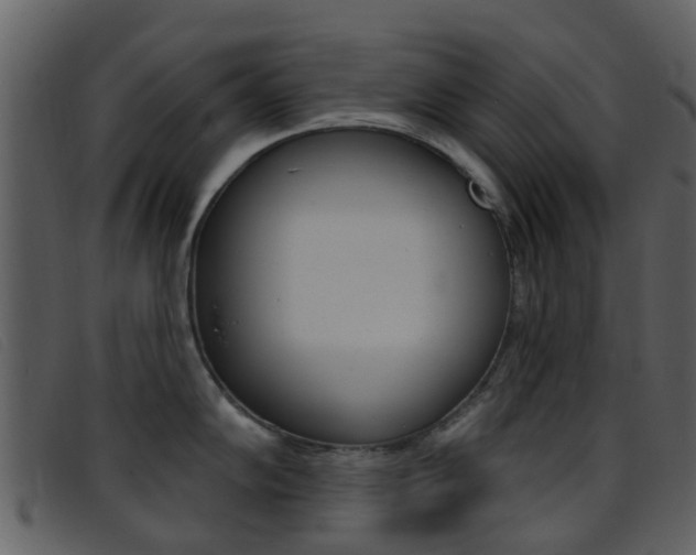 X0000096661102200802050951