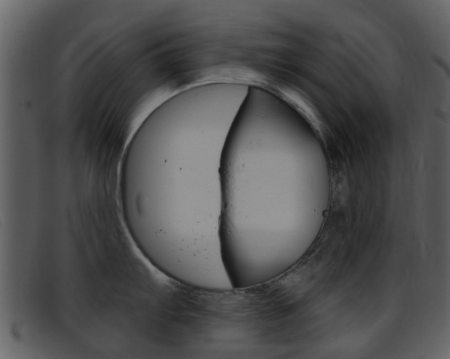 X0000096661103200802050951