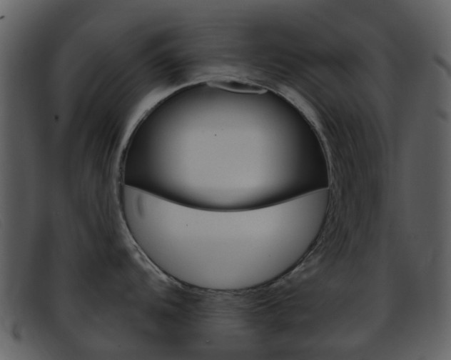 X0000096661104200802050951