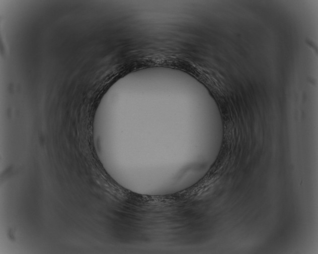 X0000096661105200802050950