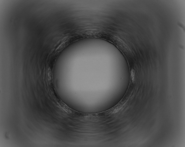 X0000096661107200802050950