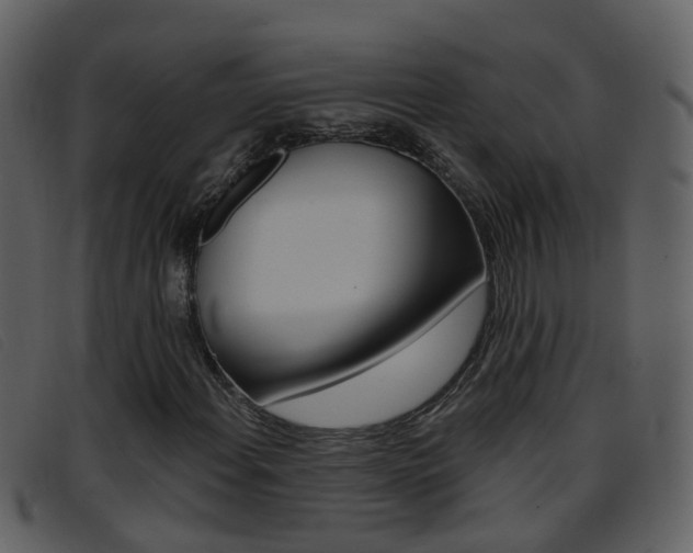 X0000096661108200802050950